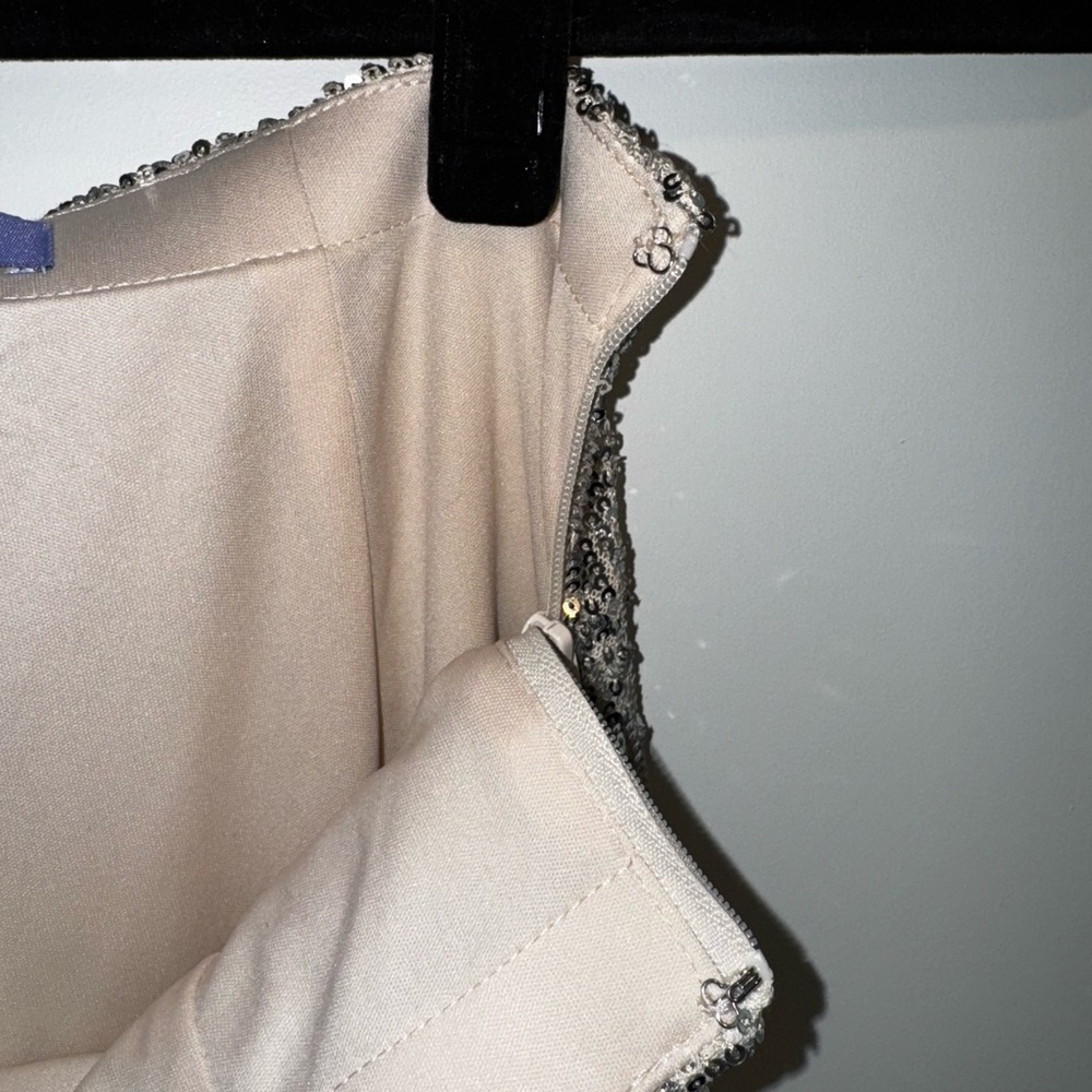 Sequin Pants - image 4